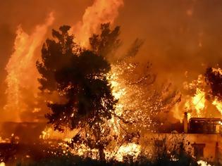 Φωτογραφία για Φωτιά στο Μάτι: Γνώριζαν ότι μόνο στην Αττική θα έπνεαν άνεμοι 7 μποφόρ αλλά υποτίμησαν τον κίνδυνο