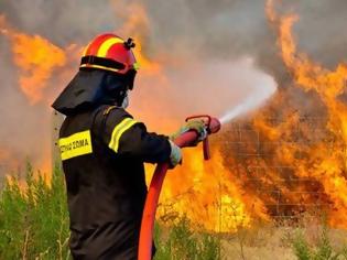 Φωτογραφία για Πολύ υψηλός κίνδυνος πυρκαγιάς (κατηγορία κινδύνου 4) για αύριο Τετάρτη 12 Σεπτεμβρίου 2018
