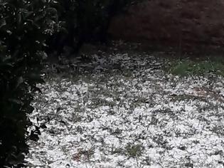 Φωτογραφία για Σφοδρή χαλαζόπτωση στη Λακωνία – Στα λευκά «ντύθηκε» η Σπάρτη [photos]