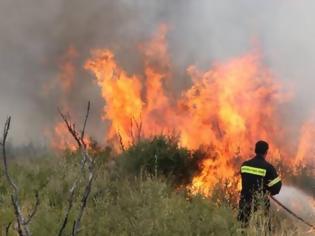 Φωτογραφία για ΕΑΚΠ: Καταγγελία για τις συνθήκες εργασίας και τη διοικητική μέριμνα στην κατάσβεση της φωτιάς στη Σάμο