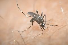 ΚΕΕΛΠΝΟ: Ο ιός του Δυτικού Νείλου έχει μολύνει 28.000 ανθρώπους
