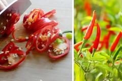Τρώγοντας αυτές τις πιπεριές αυξάνετε το προσδόκιμο ζωής σας κατά 13% λένε οι επιστήμονες!