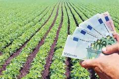 Μέχρι τις 26 Οκτωβρίου η πληρωμή του 70% της βασικής ενίσχυσης των αγροτών