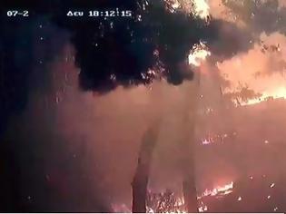 Φωτογραφία για Στη δημοσιότητα νέο τρομακτικό βίντεο από τη φωτιά στο Μάτι