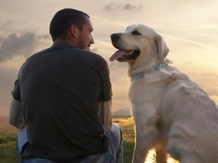 Φωτογραφία για Σκύλος & άνθρωπος: Μια σχέση πραγματικής αγάπης &  αφoσίωσης