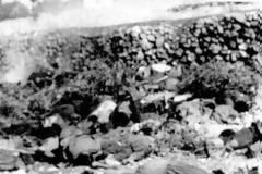 Η σφαγή της Κεφαλονιάς: 75 χρόνια από την εκτέλεση 5.200 Ιταλών από τους ναζί