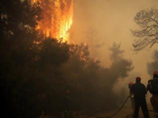 Φωτογραφία για Τραγωδία στο Μάτι: Η (πολιτική και φυσική) Ηγεσία ΠΣ γνώριζε έγκαιρα (από ώρα 17:10) για τον κίνδυνο της πυρκαγιάς – Tου Ανδριανού Γκουρμπάτση