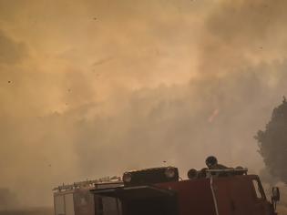 Φωτογραφία για Μεγάλη πυρκαγιά στην Κεφαλονιά