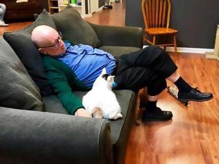 Φωτογραφία για Ο 75χρονος εθελοντής που επισκέπτεται ένα καταφύγιο ζώων και κοιμάται αγκαλιά με τις γάτες