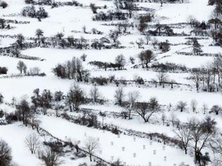 Φωτογραφία για Τα πρώτα χιόνια: Το «έστρωσε» στον Παρνασσό! (ΒΙΝΤΕΟ)