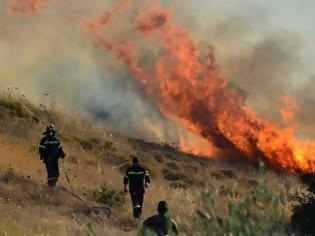 Φωτογραφία για ‘’Οι πυρκαγιές στην Κεφαλονιά αναδεικνύουν για άλλη μια φορά ότι οι μεγάλες ελλείψεις στο Π.Σ. είναι και επικίνδυνες και καταστροφικές‘’