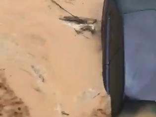 Φωτογραφία για Συγκλονιστικό βίντεο: Κραυγή αγωνίας στο Κιάτο ενώ ορμητικά νερά παρασέρνουν αυτοκίνητο