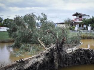 Φωτογραφία για «Βρέθηκαν αντικείμενά τους, αλλά όχι εκείνοι», λέει ο γαμπρός του αγνοούμενου ζευγαριού στην Εύβοια