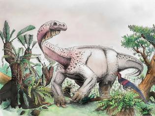 Φωτογραφία για Ανακαλύφθηκε ένας νέος τεράστιος δεινόσαυρος στη Νότια Αφρική