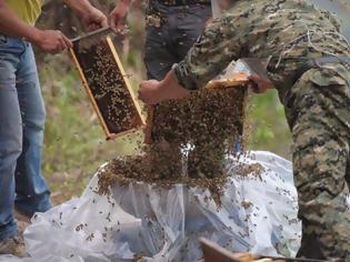 Φωτογραφία για Ένας Κινέζος αποφάσισε να καλύψει το σώμα του με 460.000 μέλισσες - Δείτε το αποτέλεσμα… [photos]