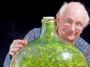 Φωτογραφία για 80χρονος διατηρεί «αθάνατο» φυτό σε σφραγισμένο μπουκάλι από το 1972