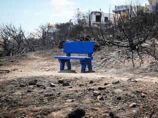 Φωτογραφία για Βαρβάρα Φύτρου: Υπήρχαν καθηλωμένα ελικόπτερα τις κρίσιμες ώρες στο Μάτι