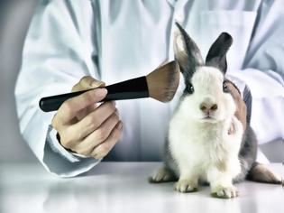Φωτογραφία για Η Καλιφόρνια απαγορεύει τα καλλυντικά που έχουν δοκιμαστεί σε ζώα