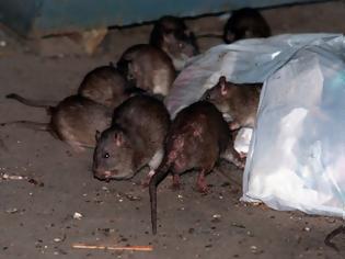 Φωτογραφία για Ένωση Δυτικής Αττικής: Στο τέλος θα μας φάνε τα ποντίκια