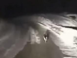 Φωτογραφία για Ένας αστυνομικός είδε ένα σκυλί στη μέση του πουθενά και το ακολούθησε - Δείτε που τον οδήγησε