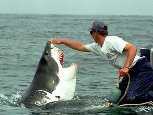 Φωτογραφία για Φιλία μεταξύ ανθρώπου και καρχαρία [photos]