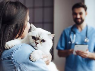 Φωτογραφία για Πώς οι γάτες επηρεάζουν τους ιδιοκτήτες τους για να μην τις πάνε στον κτηνίατρο