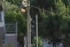 Ούτε να ήταν πληρωμένος ο Κασιδιάρης