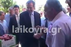 Τίγκα στα κομματόσκυλα η Μελίκη Ημαθείας