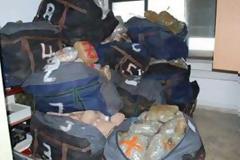 Βρέθηκαν 237 κιλά κάνναβης κρυμμένα σε δάσος
