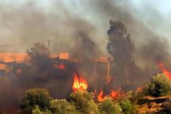 Αργολίδα: Έπιασαν 44χρονο για τη μεγάλη πυρκαγιά