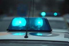 Ημαθία: Συλλήψεις στο Βρυσάκι για παράνομα φυτοφάρμακα