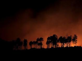 Φωτογραφία για Καλοκαίρι χωρίς καταστροφικές πυρκαγιές βλέπει η Πυροσβεστικκή