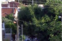 Στον εισαγγελέα σήμερα ο 25χρονος από την Παιανία
