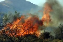 Δύο οι συλλήψεις για την πυρκαγιά στο Περιγιάλι Κερατέας