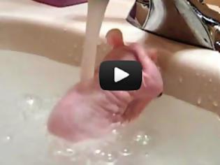 Φωτογραφία για Άτριχος αρουραίος παίρνει το μπάνιο του (Video)