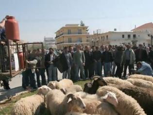 Φωτογραφία για Στους δόμους οι κτηνοτρόφοι