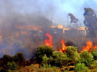 Φωτογραφία για Υπό έλεγχο οι πυρκαγιές στη Μάνδρα Αττικής και στο Καντήλι Μεγάρων