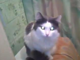 Φωτογραφία για Γάτα κλείνει τη πόρτα από το μπάνιο για να μην την ενοχλούν! [Video]