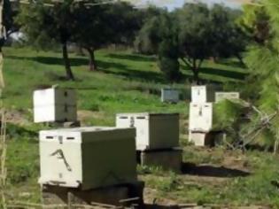 Φωτογραφία για Κλέψανε αρνιά και μελίσσια από Παλαιόπυργο και Διαλεχτό Τρικάλων