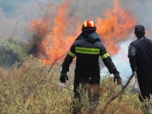 Φωτογραφία για Βοιωτία: Δυο μεγάλες πυρκαγιές σε εξέλιξη - Έκλεισε το ένα ρεύμα της εθνικής