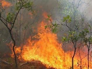 Φωτογραφία για Μεγάλες πυρκαγιές μαίνονται στη Βοιωτία