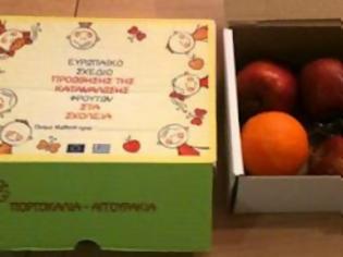 Φωτογραφία για Ακυρώθηκε ο διαγωνισμός για την διανομή των φρούτων στα σχολεία