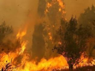 Φωτογραφία για Δύο πυρκαγιές στην Βοιωτία-Μεγάλη κινητοποίηση της ΠΥ-Ουρές στη εθνική οδό [video]