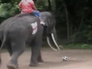 Φωτογραφία για Ελέφαντες παίζουν ποδόσφαιρο και... σκοράρουν! [Video]