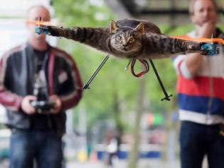 Φωτογραφία για Πουλιέται ο γάτος-ελικόπτερο!