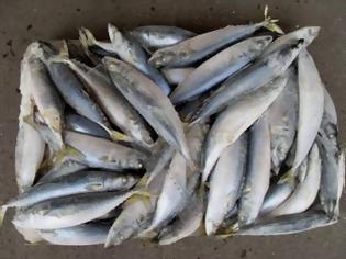 Φωτογραφία για Η κατανάλωση ψαριού «ασπίδα» ενάντια στο Αλτσχάιμερ