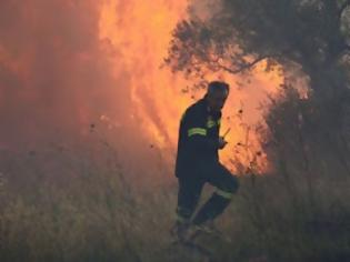 Φωτογραφία για Πολύ υψηλός ο κίνδυνος πυρκαγιάς το Σάββατο