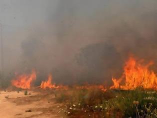 Φωτογραφία για Φθιώτιδα: Σε εξέλιξη μεγάλη πυρκαγιά στη περιοχή του Δομοκού