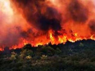 Φωτογραφία για Σε εξέλιξη μεγάλη πυρκαγιά στο Δομοκό