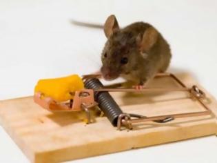 Φωτογραφία για Μια επίκαιρη ιστορία: Το ποντίκι και η ποντικοπαγίδα!